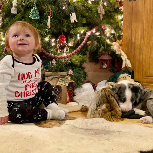 Meet your Posher, Tylo - Picture 1 of 1